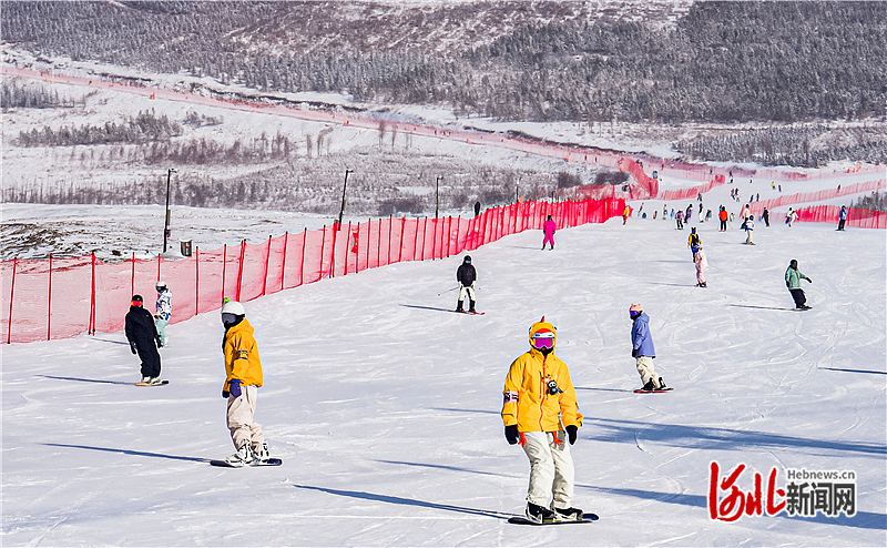 �ñ�ѩ���¼������ȶ��ܡ�